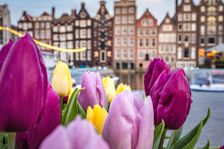 O Melhor de Amesterdão e Países Baixos: Época Natalícia – 4 dias / 3 noites